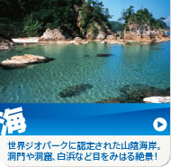 海