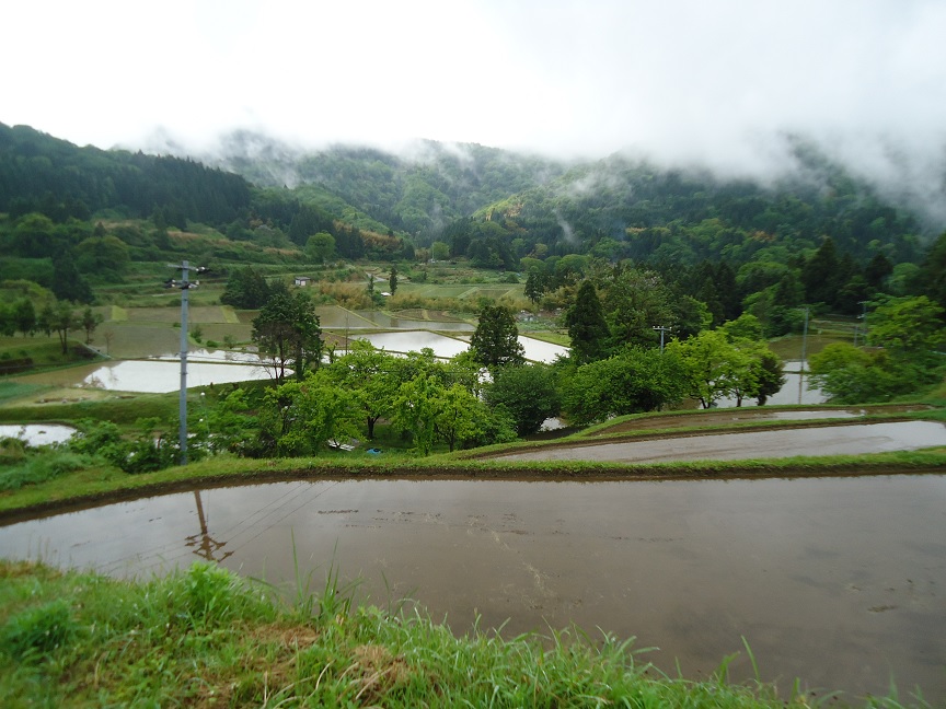 田植え前