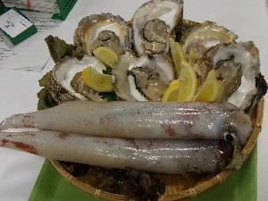 大きくて新鮮！！
