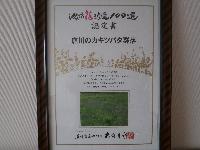 カキツバタ３